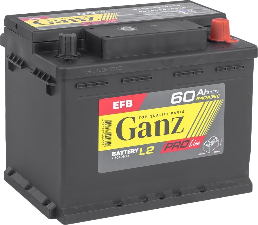 GANZ PRO-Line EFB 60 А/ч обратный R+ 242x175x190 L2 EN 640 А