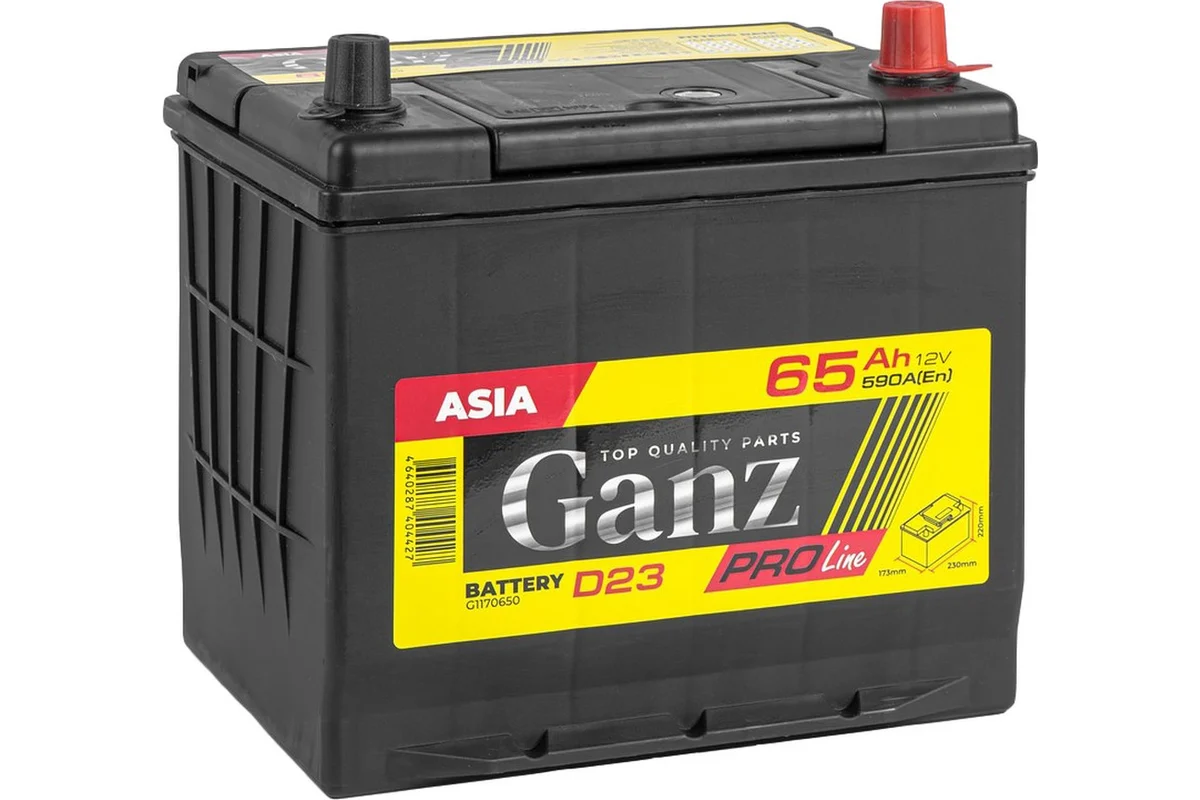 GANZ PRO-Line JIS 65 А/ч обратный R+ 230x173x220 D26 EN 590 А