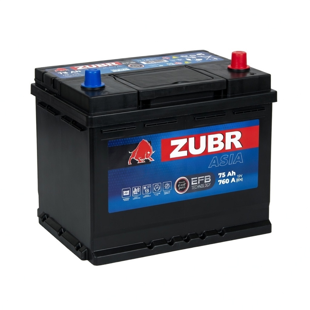 ZUBR EFB Asia 75Ah R+
