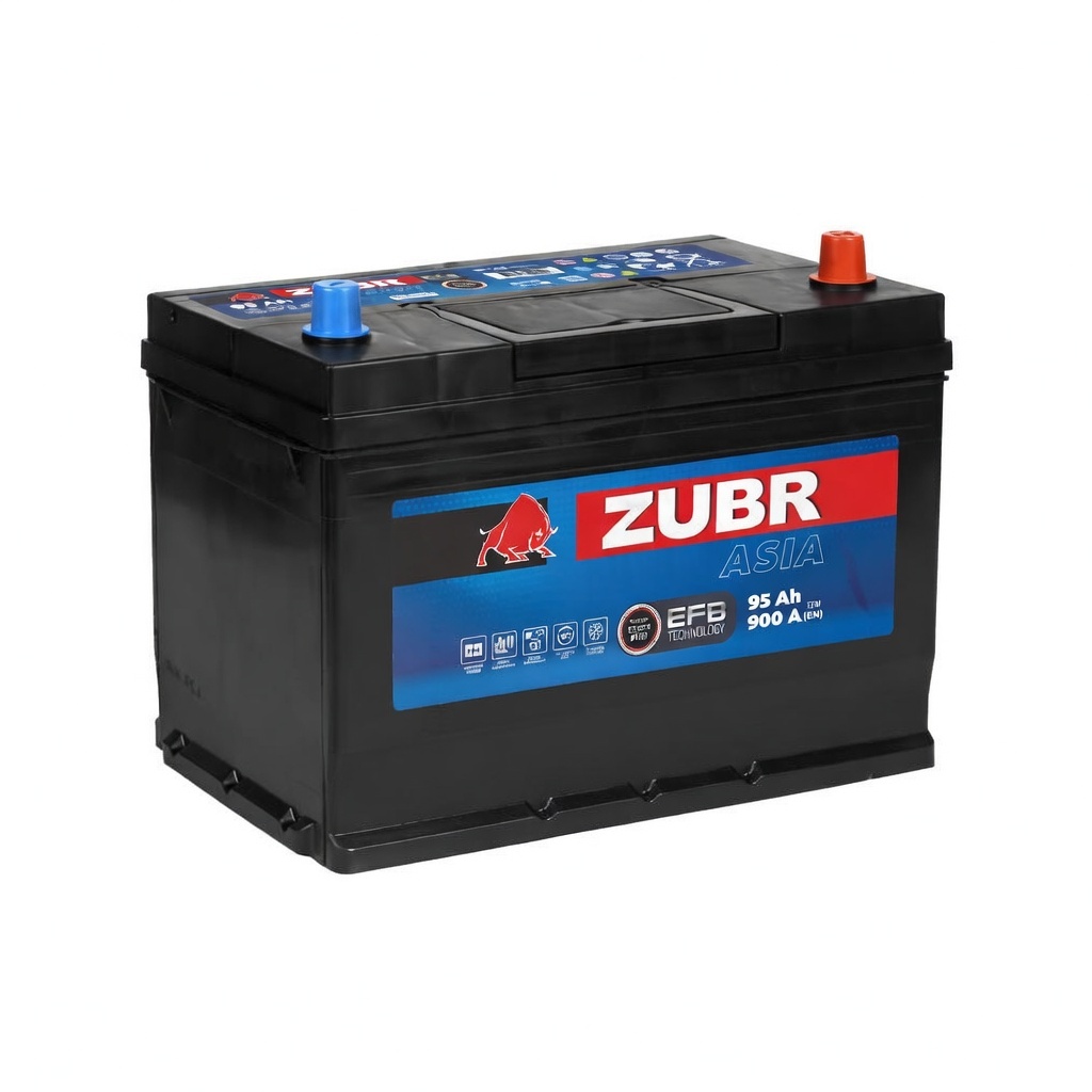 ZUBR EFB Asia 95Ah R+